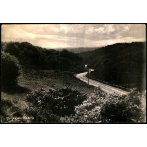 Rebild - Hulvejen - Eneret 94171 - Brugt