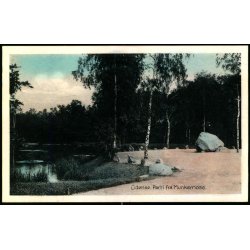 Odense - Parti fra Munkemose - Stender O. 200 - Ubrugt