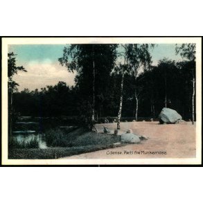 Odense - Parti fra Munkemose - Stender O. 200 - Ubrugt