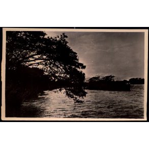 Congo Belge - Riviere Ruzizi - Environs de Luvungi - Fotokort 1 - 5 - Ubrugt