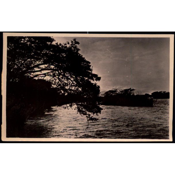 Congo Belge - Riviere Ruzizi - Environs de Luvungi - Fotokort 1 - 5 - Ubrugt