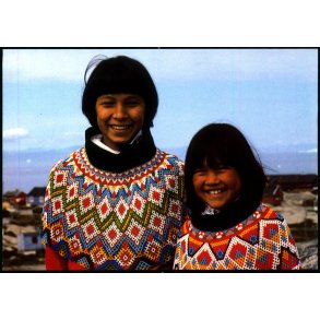 FN s Internationale r for oprindelige Folkeslag - Grnlands Post 38/93 - Brugt