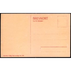 Kbenhavn - Vagtparaden paa Amalienborg - Stender 436