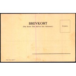 Hilsen fra Haandvrkerfesten i Kbenhavn 1904 - Berejste Haandvrkeres Vogn - Warburg u/n - Ubrugt 