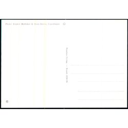 Tronflgeren Prinsesse Margrethe og Greve Henri de Laborde de Moupszat - Stender 2310/35 - Ubrugt