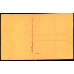 Salon Orkester - u/n - Ubrugt