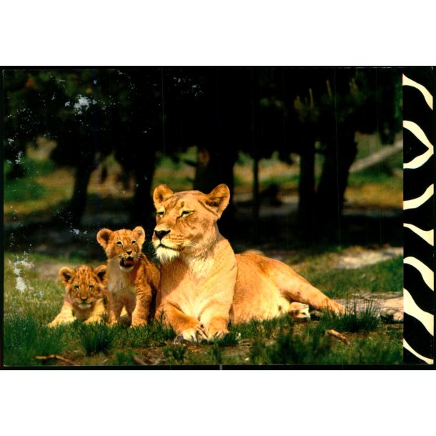 L�veparken Givskud - L� 1 - Ubrugt