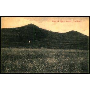 Parti af Gjern Bakker 