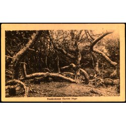 Trolde Skoven - Tisvilde Hegn - S. Nielsen 98 - Ubrugt