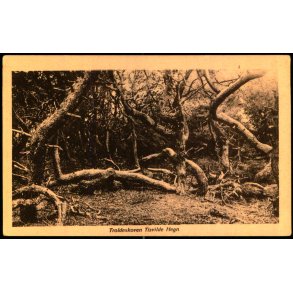 Trolde Skoven - Tisvilde Hegn - S. Nielsen 98 - Ubrugt