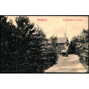 Ringk�bing - Fra Schuberts Plantage - W.K.F. 1852 - 1852 - Ubrugt