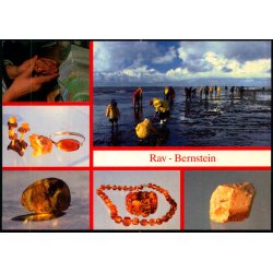 Rav - Bernstein - Trojaborg DK 58 - Ubrugt