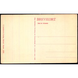 Liden Kirstens Grav paa Vestervig Kirkegaard - C. Buchholtz Bogh. 19995 - Ubrugt