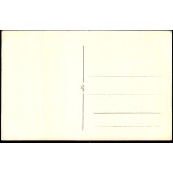 Silkeborg - Fotokort Pors 691 - Ubrugt