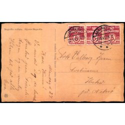 V. Hancke - Hjertelig Lyknskning - Stjerne Magnolie - Stender Serie 1400 - Brugt