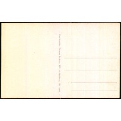 Skodborg - Papirhandler Paulsen 10603 - Ubrugt