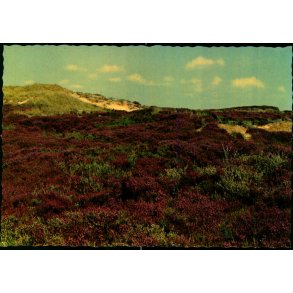 Dansk Hedeselskab - Stender 40 905/10  - Ubrugt