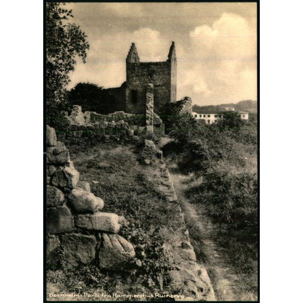 Bornholm - Parti fra Hammershus Ruiner - Colbergs Bogh. 2541 - Ubrugt