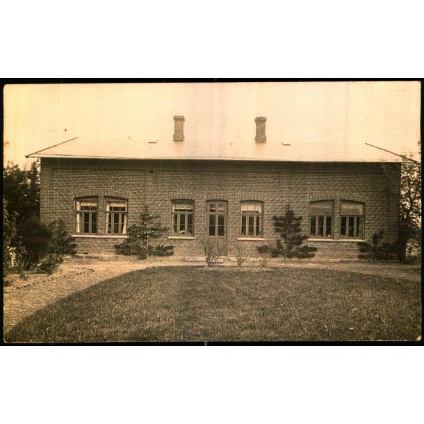 Firh�j - Fotokort u/n - Ubrugt