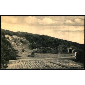 Brantebjerg - Tisvilde Hegn - A. Jensens Bogh. u/n - Ubrugt