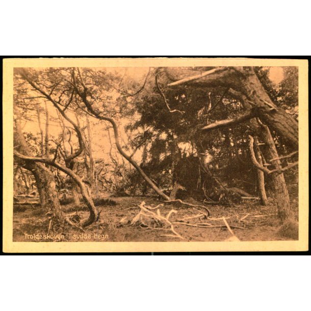 Trolde Skoven - Tisvilde Hegn - A. Jensens Bogh. 60375 - Ubrugt
