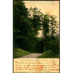 Vejen til Tibirke Kirke - A. Jensens Bogh. u/n - Brugt