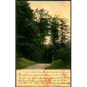 Vejen til Tibirke Kirke - A. Jensens Bogh. u/n - Brugt