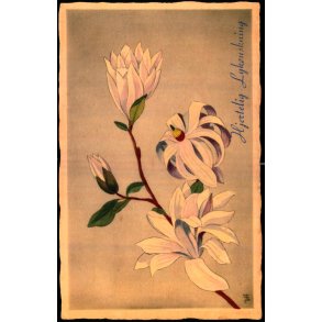 V. Hancke - Hjertelig Lyknskning - Stjerne Magnolie - Stender Serie 1400 - Brugt