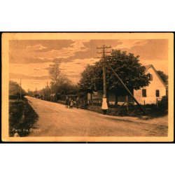 Parti fra �lgod - Hans Nielsen 8933-21 - Brugt