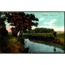 Ringsted  - Uggerl�se AA - C.F. 550 - Ubrugt