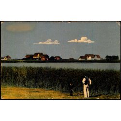 Fra Marskegnen - C.C. Biehl 3459 - Ubrugt