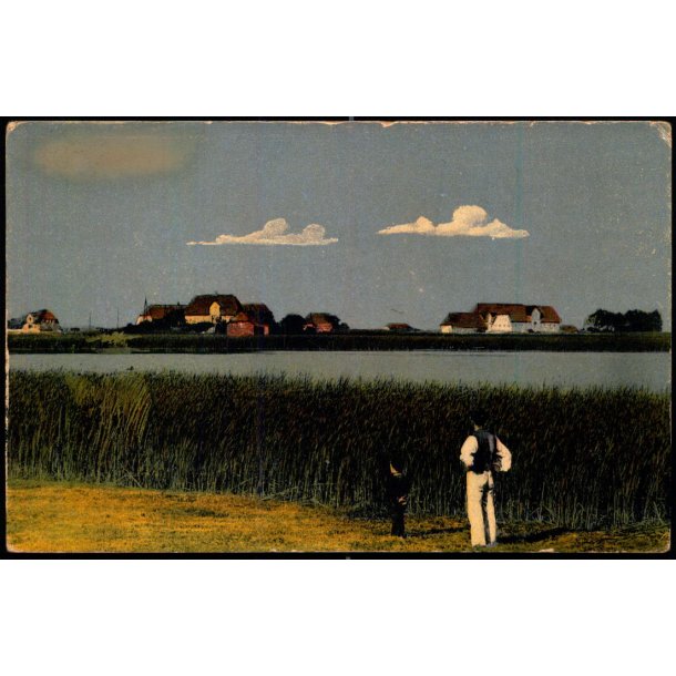 Fra Marskegnen - C.C. Biehl 3459 - Ubrugt