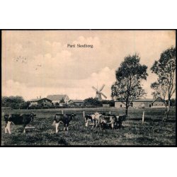 Parti Skodborg - N. Gaasvig u/n - Brugt