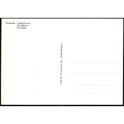 Bornholm - Gudhjem Havn - Colberg 8531 - Ubrugt