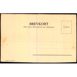 Hilsen fra Haandvrkerfesten i Kbenhavn 1904 - Haandfrkerforeningens Vogn - Warburg u/n - Ubrugt 