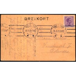 Kbenhavns Amts Sygehus paa Frederiksberg - Langs 928 - Brugt