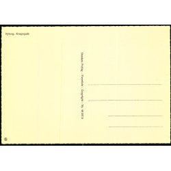 Nyborg - Kongegade - Stender 40 507/5 - Ubrugt