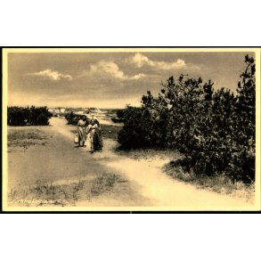 Parti fra Liseleje - Frits Hansen 89109