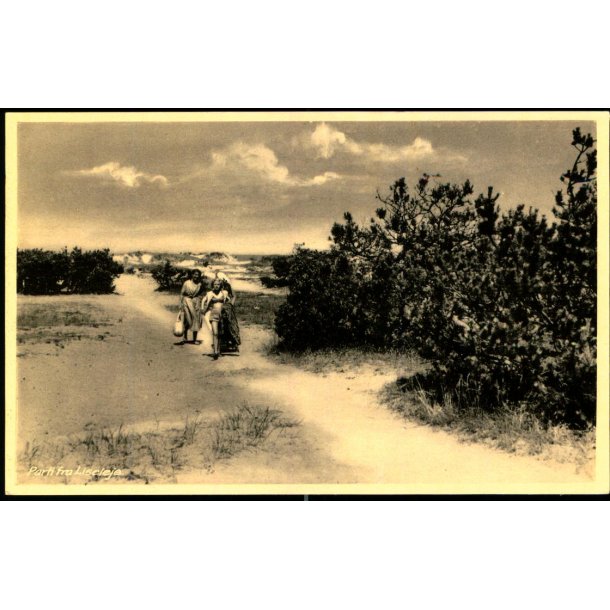 Parti fra Liseleje - Frits Hansen 89109