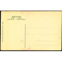 Skagen - Peter Alstrup 1203 - Ubrugt