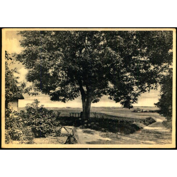 Raageleje - Tuehuset - u/n - Ubrugt