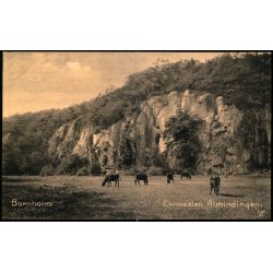 Bornholm - Ekkodalen - Almindingen - Ad. Mller 330 - Ubrugt