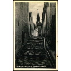 Gyde ved det gamle Raadhus - Ebeltoft - Elles Bogh. 74074 - Brugt