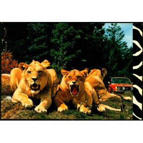 L�veparken Givskud - L� 17 - Ubrugt