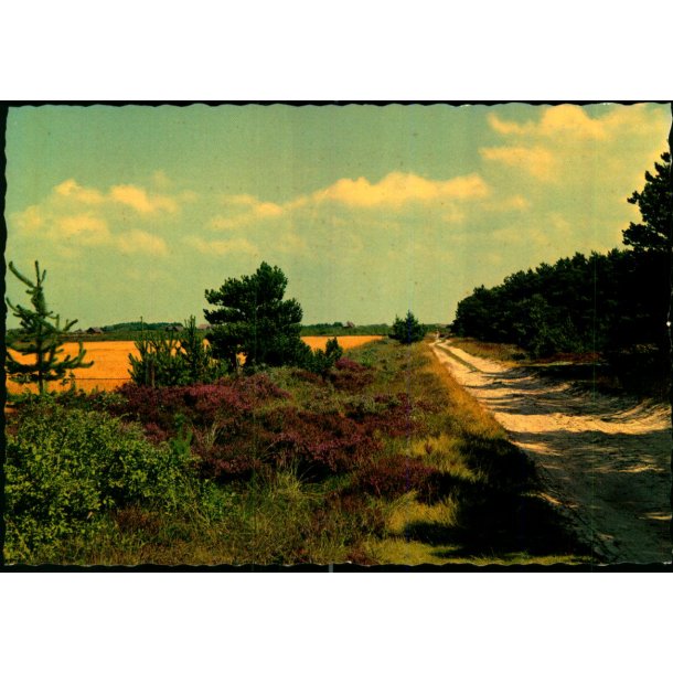 Dansk Hedeselskab - Stender 40 905/11  - Ubrugt