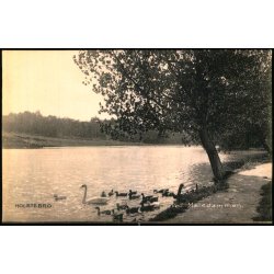 Holstebro - Ved M�lledammen - Stender 16793 - Ubrugt