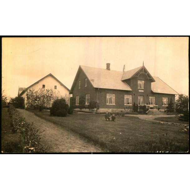 Firh�j - Fotokort u/n - Ubrugt