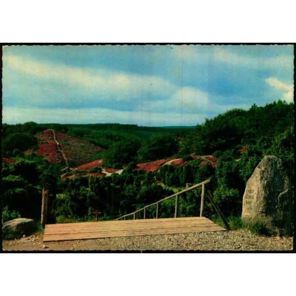 Nedgangen til Rebild Nationalpark - Stender 40 619/11 - Ubrugt