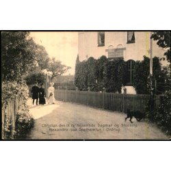 Christian den IX m. Kejserinden og Dronning Alexandra - Stender 4618 - brugt