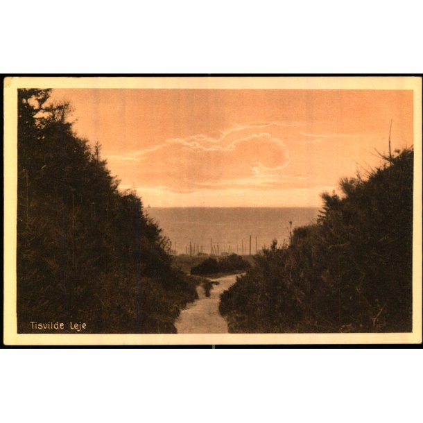 Tisvilde Leje - A.Jensen 43406 - Ubrugt